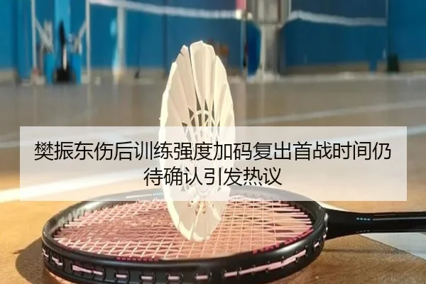 樊振东伤后训练强度加码复出首战时间仍待确认引发热议